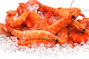 frozen shrimp